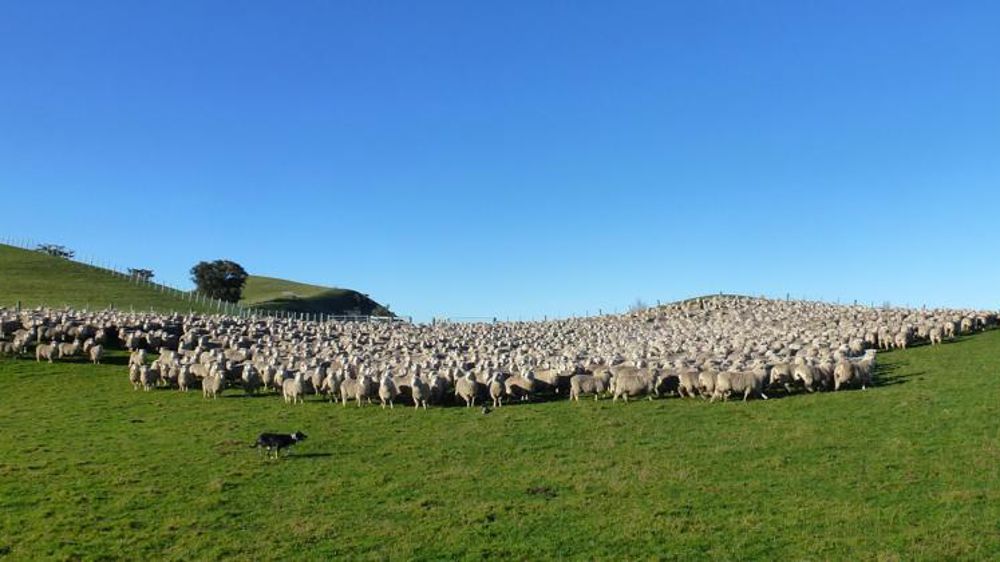 © Valérie Scarlakens/GFA